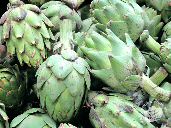 SchoolPhotoProject.com A Totally FREE Stock Photos Site!